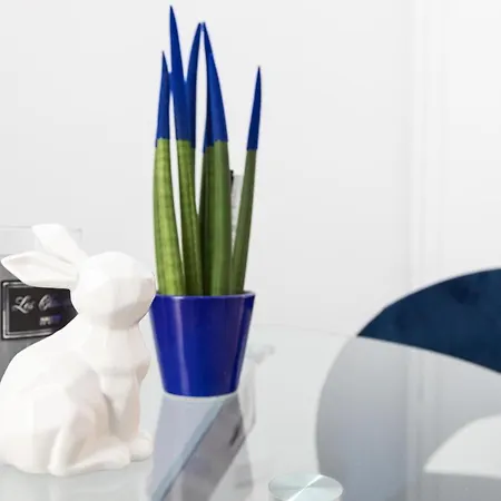 Trastevere Blue King - Collection *